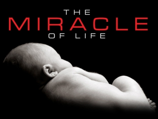 The Miracle of Life Video